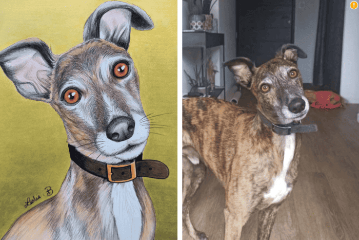 Many le chien