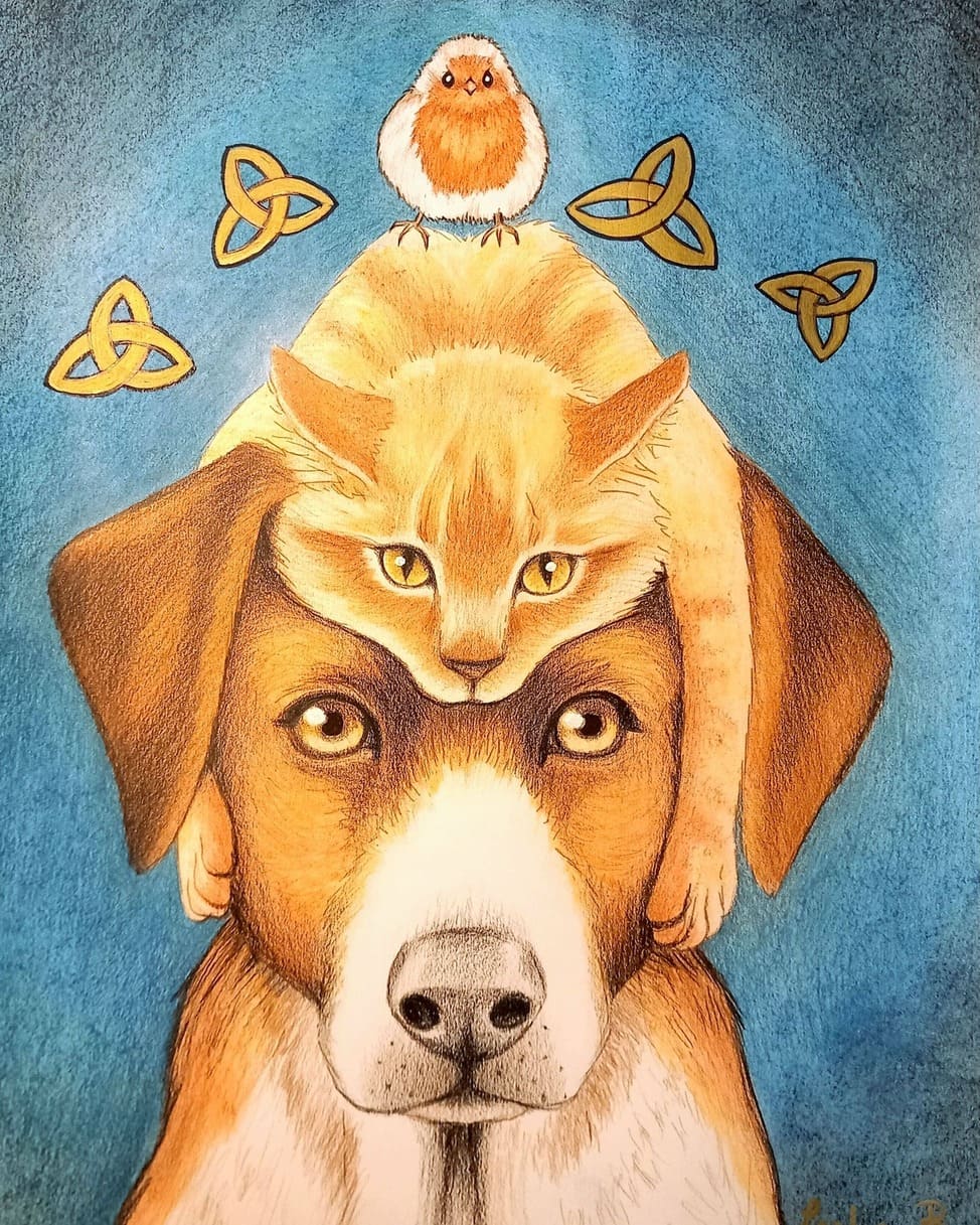 Les animaux de la sorcière