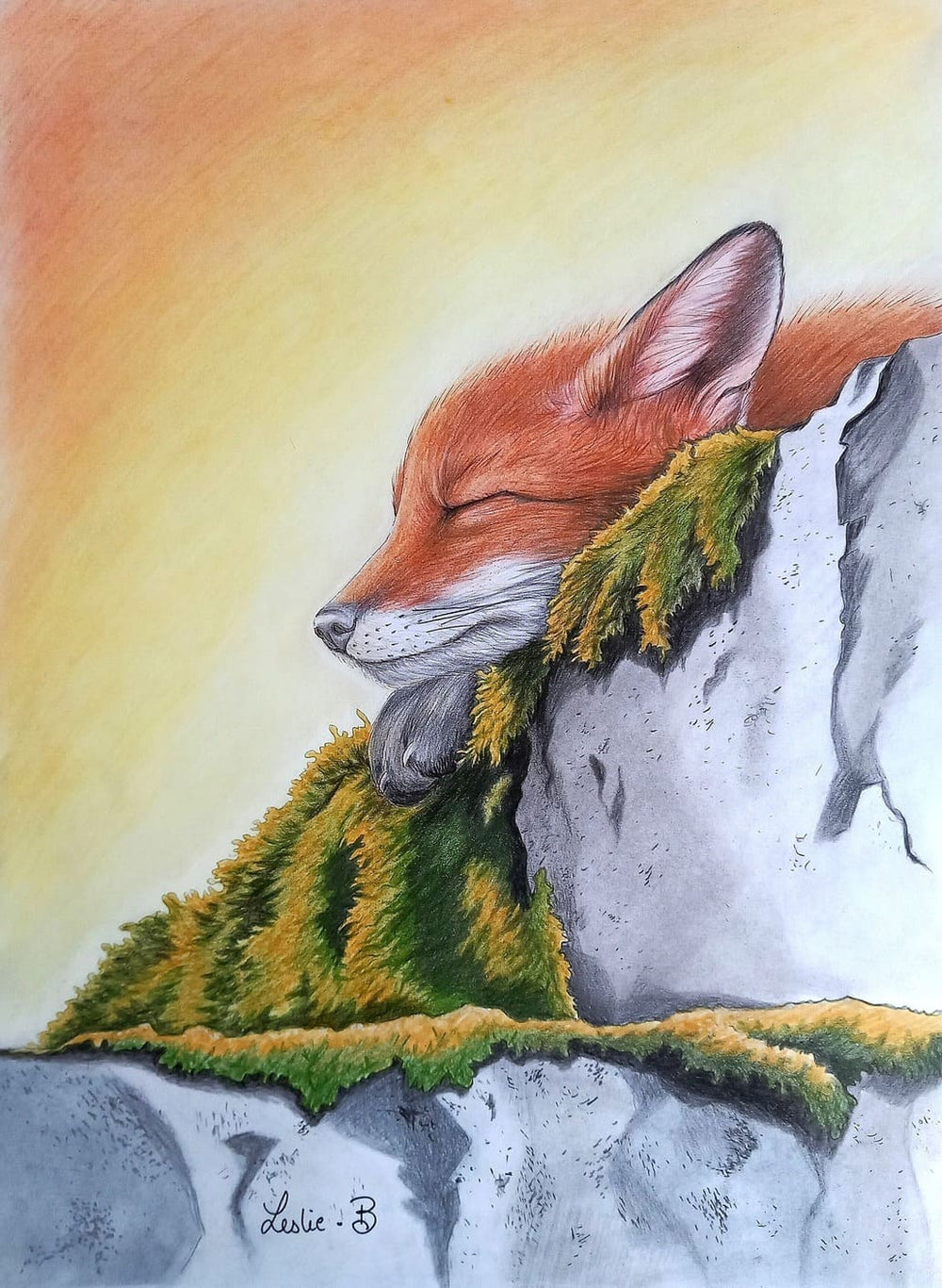 Renard au pays des rêves