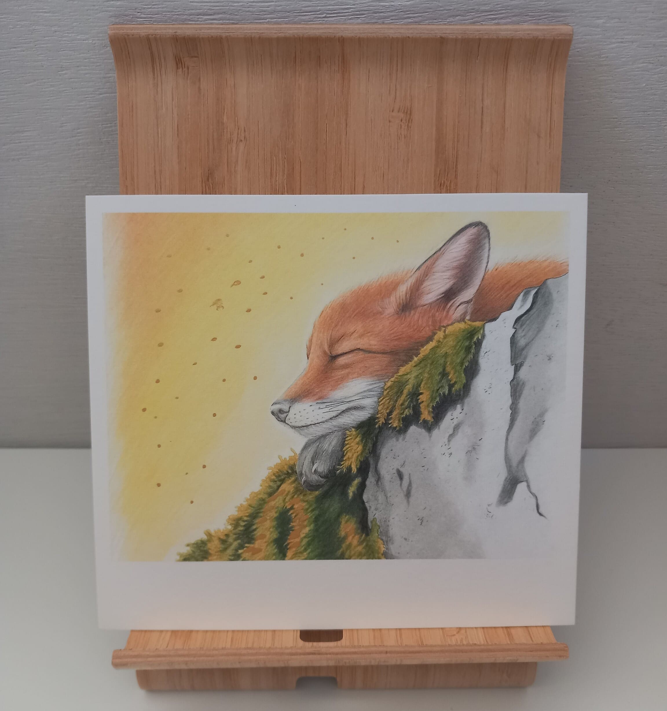 Carte postale renard endormi
